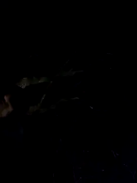 Wildherb244 online show from 12-04-24, 01:30