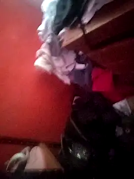 VL25DN26 online show from 04-05-26, 10:38