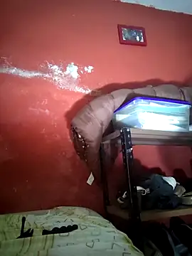 VL25DN26 online show from 12-19-25, 09:44