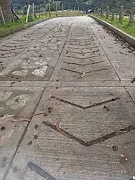 Snapshot of Cuervo_maniaco chatting on 10-12-25, 04:19 Cuervo maniaco online show from 10-12-25, 04:19