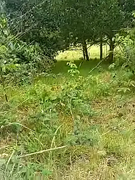 Snapshot of Cuervo_maniaco chatting on 10-30-25, 05:32 Cuervo maniaco online show from 10-30-25, 05:32