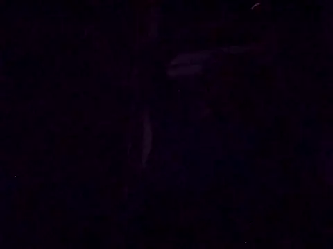 DrbigdickUK online show from 09-28-25, 08:27