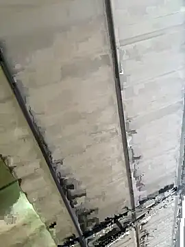 eva y marcelo online show from 11-03-25, 11:14