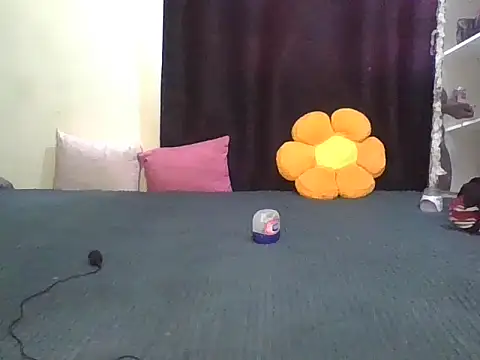 wildnastia online show from 04-06-26, 04:57