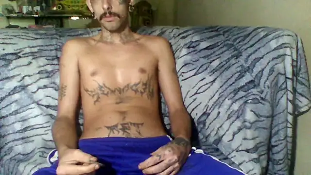 sellvageria online show from 02-08-26, 01:09