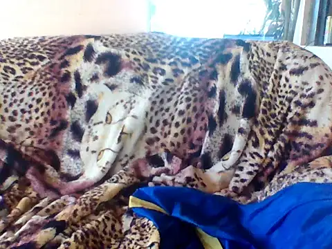 sellvageria online show from 09-21-25, 03:50