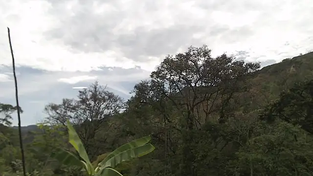 andreu mature online show from 10-02-25, 02:09