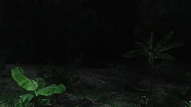 andreu mature online show from 10-01-25, 11:08