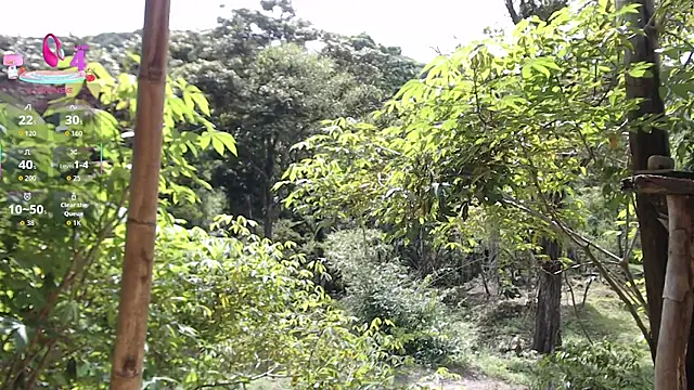 andreu mature online show from 11-20-25, 03:12