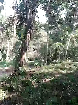 andreu mature online show from 02-11-26, 08:31