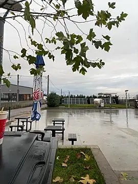 baramadalin online show from 12-01-25, 05:52