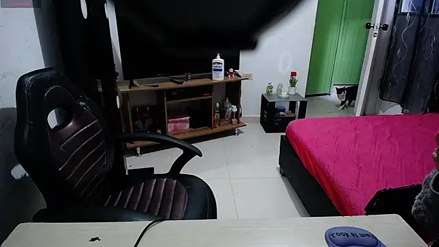 charllotee dark online show from 06-05-26, 08:47