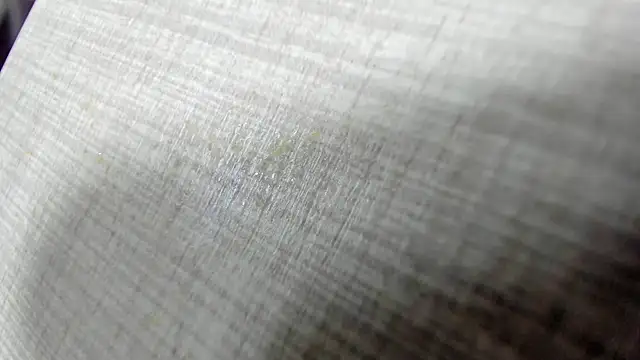 AishaRouhi online show from 04-11-26, 03:58