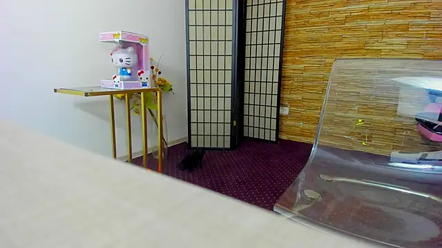 AishaRouhi online show from 12-17-25, 06:07