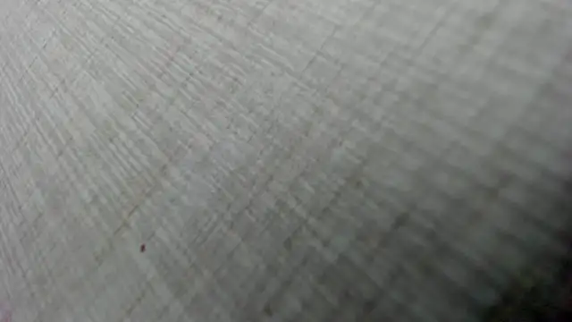 AishaRouhi online show from 02-03-26, 05:05