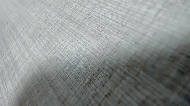 AishaRouhi online show from 03-31-26, 04:14