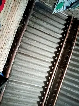 Lukas strong online show from 09-08-25, 03:00