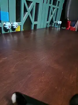 bigdickdaddy2184 online show from 12-16-25, 09:35