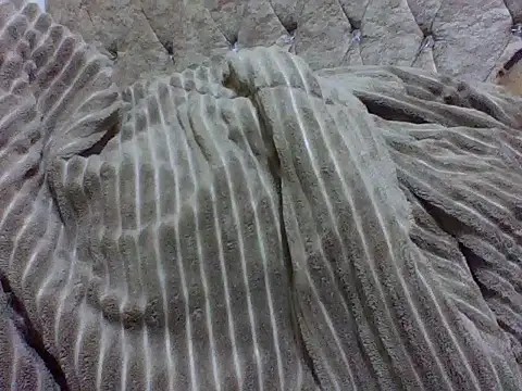 zoey10 online show from 03-19-26, 11:54