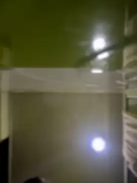 Emiily lee online show from 04-14-26, 09:25