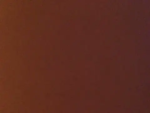 loveofbea online show from 01-02-25, 12:34