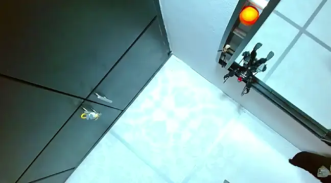 Snapshot of Michaell_Myerss_ chatting on 02-25-25, 09:48 Michaell Myerss  online show from 02-25-25, 09:48