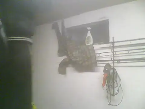 Snapshot of Rejtelmesest chatting on 02-22-25, 05:24 Rejtelmesest online show from 02-22-25, 05:24