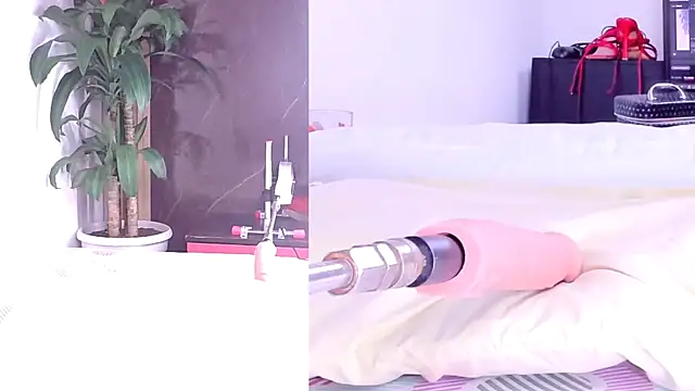 Sophia Lovers01 online show from 03-02-26, 08:38