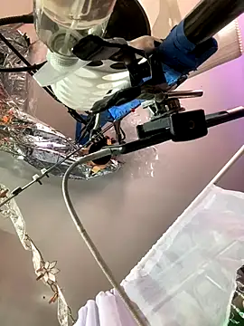 gurlnips online show from 11-26-25, 06:35