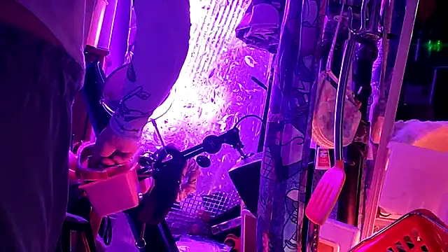 gurlnips online show from 03-11-26, 12:04