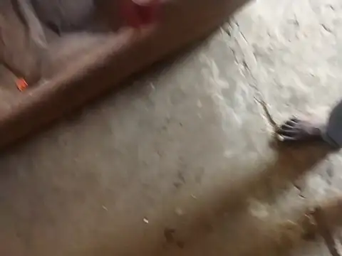 Tshidiso7 online show from 01-12-26, 12:12