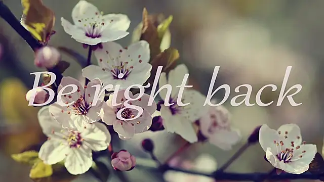 1lindsey1 online show from 04-15-26, 08:53