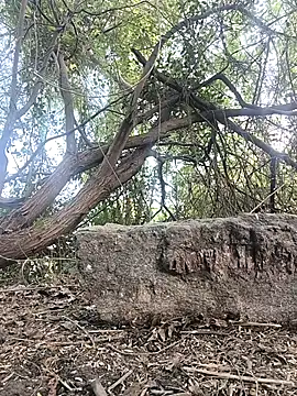 Telugubigcock57 online show from 01-18-26, 10:29