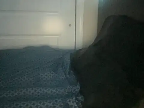 Bobbythehunk  online show from 05-19-26, 06:31