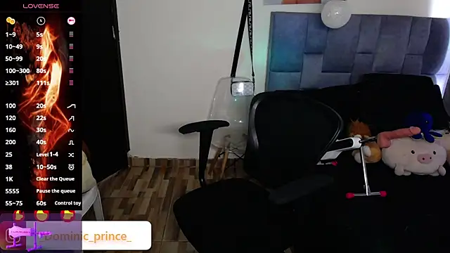 DominicPrince online show from 11-24-25, 07:03