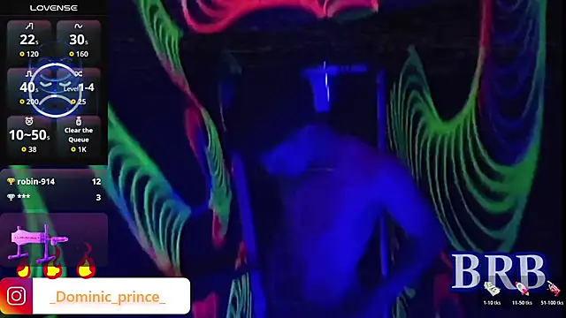 DominicPrince online show from 01-13-26, 04:11