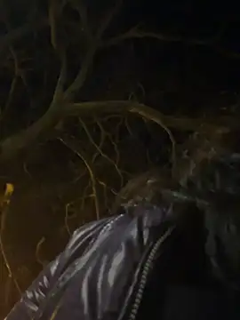 Ary art online show from 03-17-26, 11:52