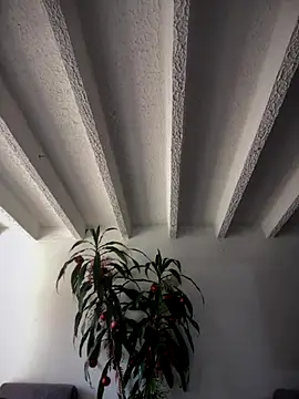 Khalyk G online show from 12-15-25, 02:12