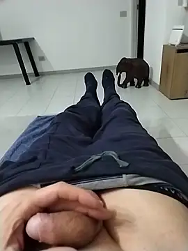 Meriozoro online show from 03-13-26, 08:36