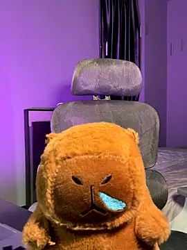 Sophiehii online show from 11-20-25, 02:40