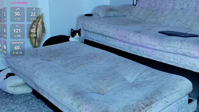 zaiin diesel online show from 03-31-26, 09:55