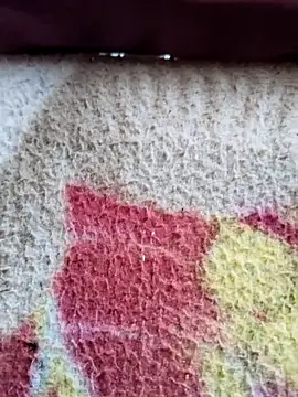 MAN MOHINI 21 online show from 03-12-25, 06:07