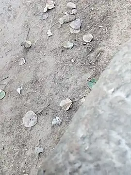 MAN MOHINI 21 online show from 02-22-26, 09:44