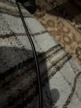 BringBackLostLover online show from 12-01-25, 10:10