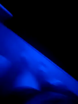 red red00 online show from 03-13-25, 11:16