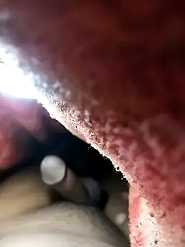 Nzfl97 online show from 02-01-25, 10:44