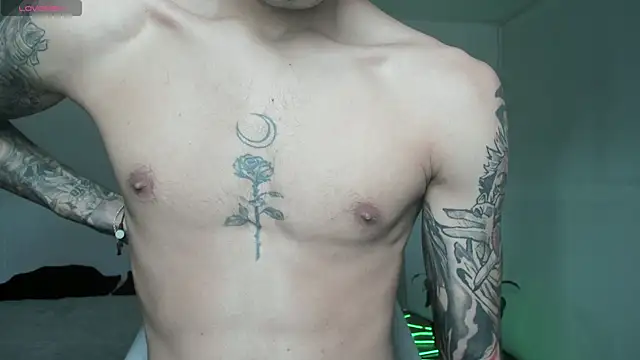 Damon  333 online show from 04-13-26, 06:01