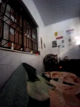 Snapshot of Zenfox24 chatting on 02-20-26, 12:29 Zenfox24 online show from 02-20-26, 12:29