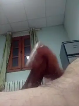 hbo54 online show from 03-03-26, 08:38