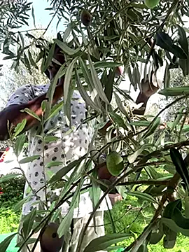 modelloblack online show from 11-17-25, 10:52